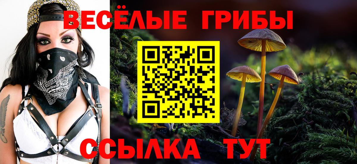 Псилоцибиновые грибы Psilocybe  Галлюциногенные грибы Magic Shrooms  Вход с VPN  Сатка 